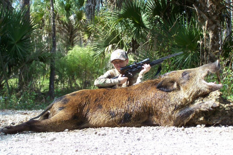 Florida wild boar hunts