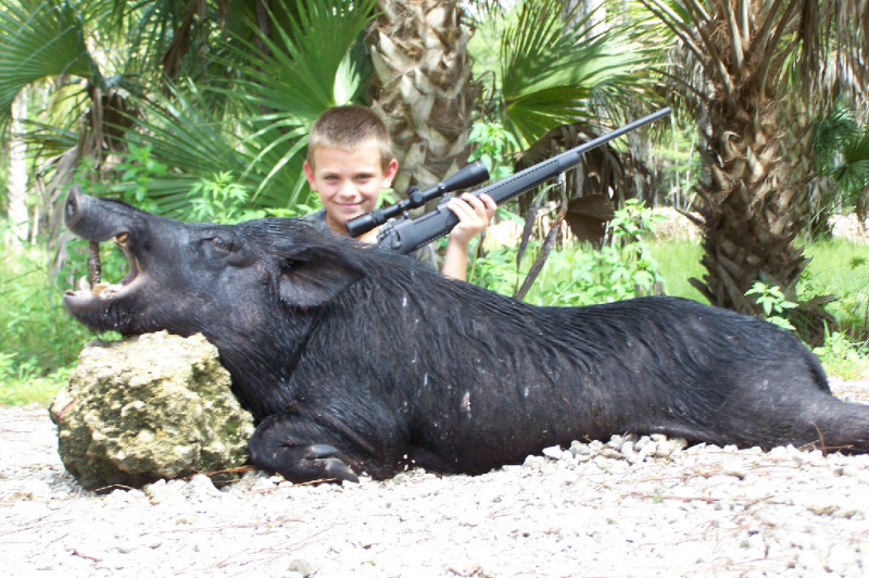 Hog hunting on florida