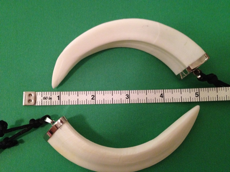 Hog tusk necklace top