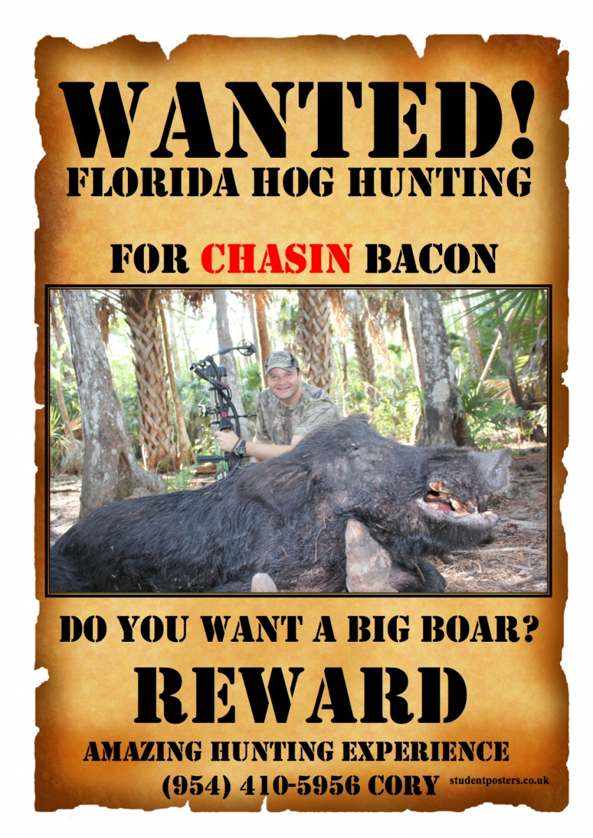 Florida Hog Hunting - Florida Boar Hunting - Meat Hog -Trophy Boar